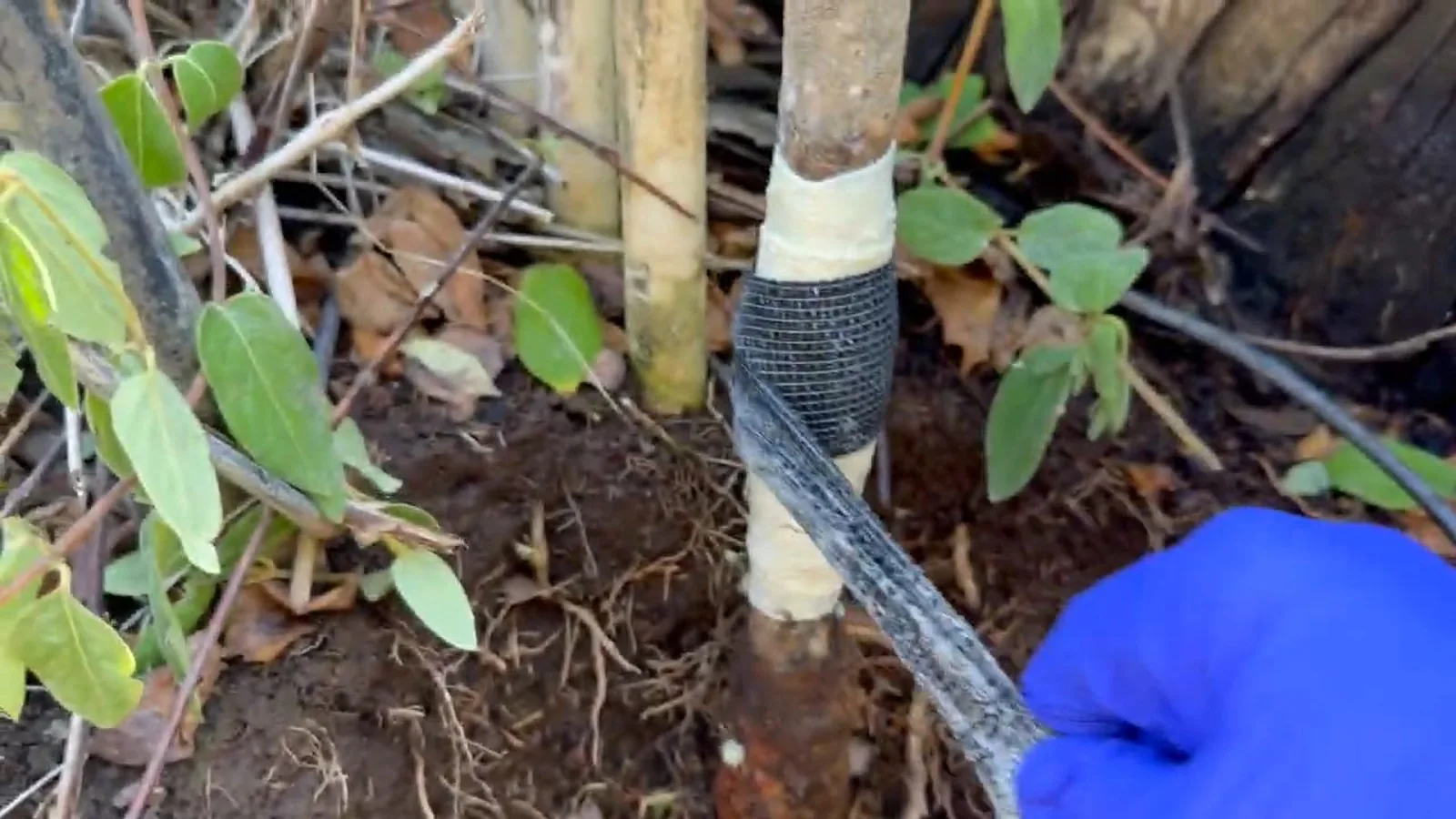 A cracked fitting removed after a hard freeze, related to Frozen Pipes in Alpharetta: How to Prep When the Forecast Drops Below 25°F