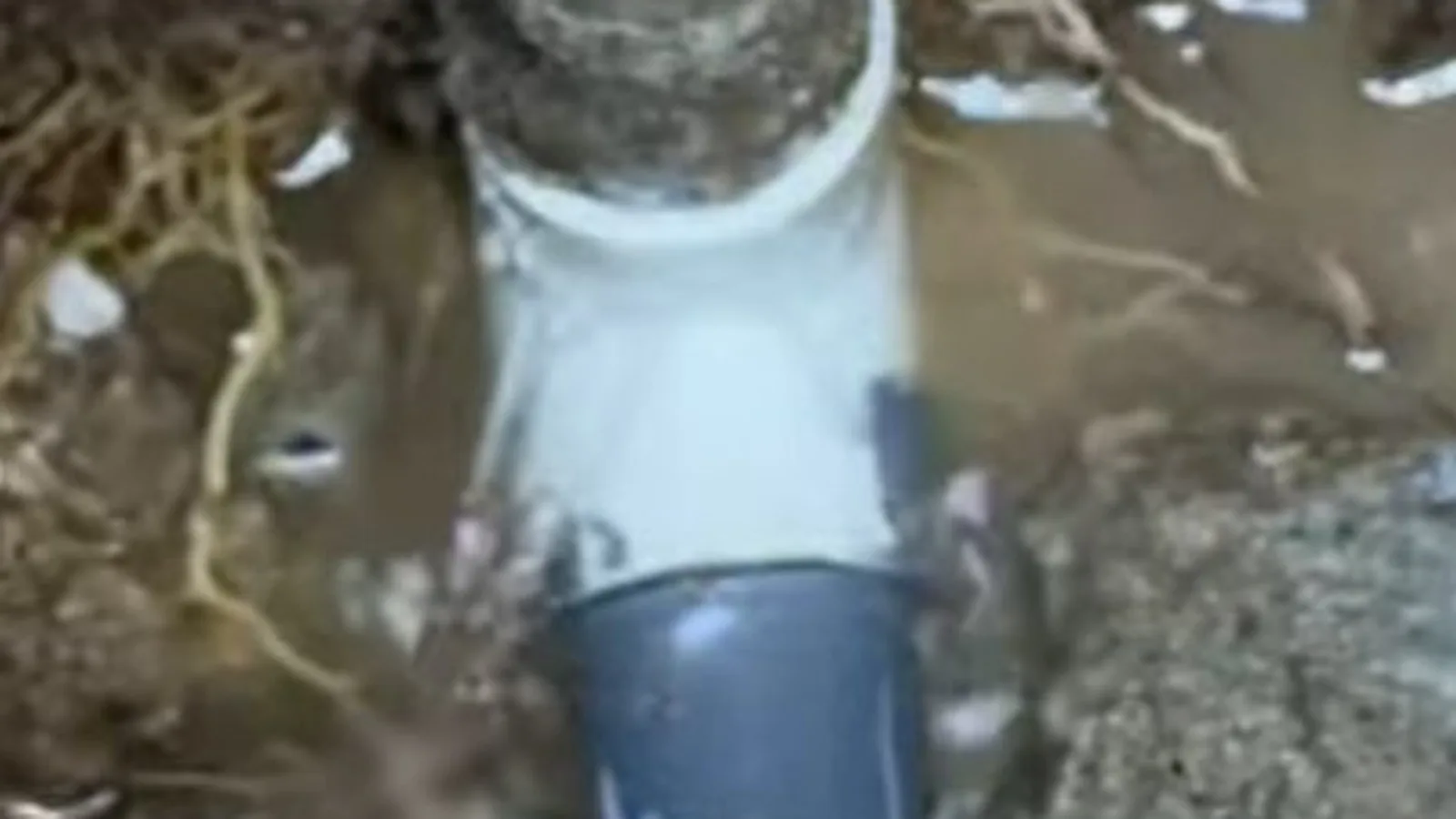 New PVC sewer pipe fitted to replace a damaged section during Sewer Line Repair service in Alpharetta
