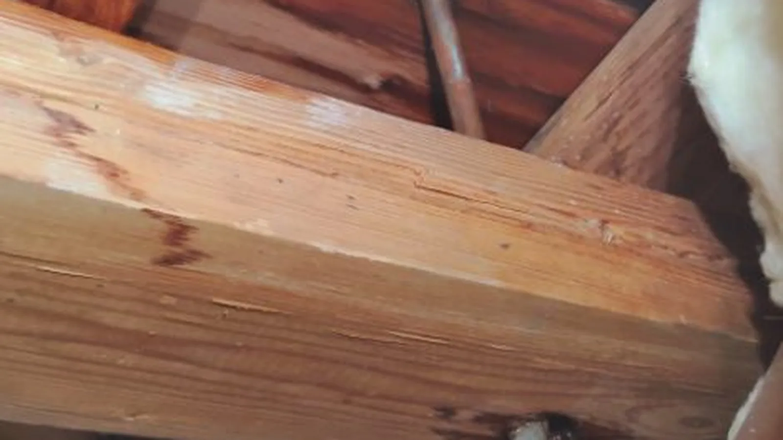 A repaired pipe visible inside an opened slab during Slab Leak Detection & Repair service in Alpharetta